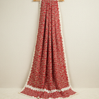 Red Folk Art Applique Saree
